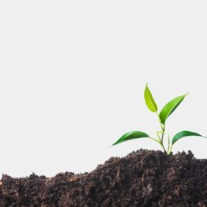 planta-creciente-suelo-contra-fondo-blanco_23-2147817211.jpg